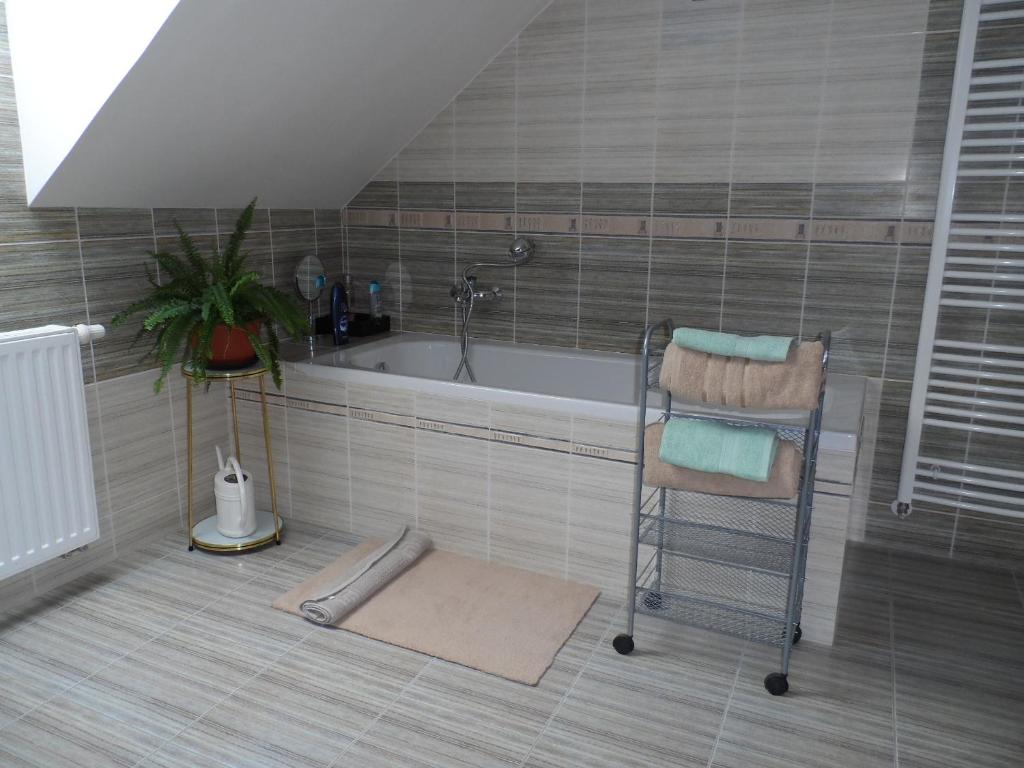 Apartmán Ludmila room 5